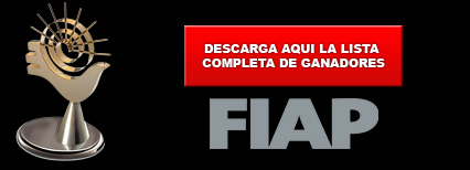 descarga la lista completa de ganadores Fiap 2008